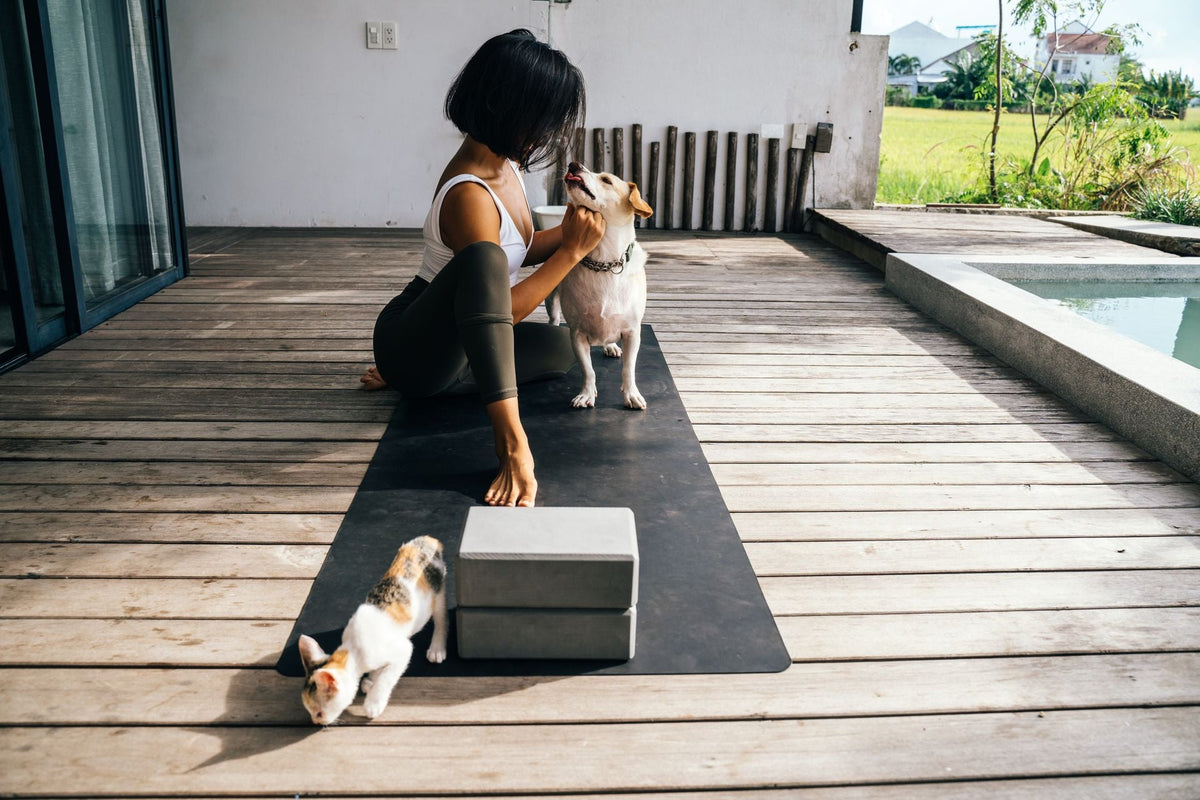 Creating a Pet-Friendly Wellness Routine at Home
