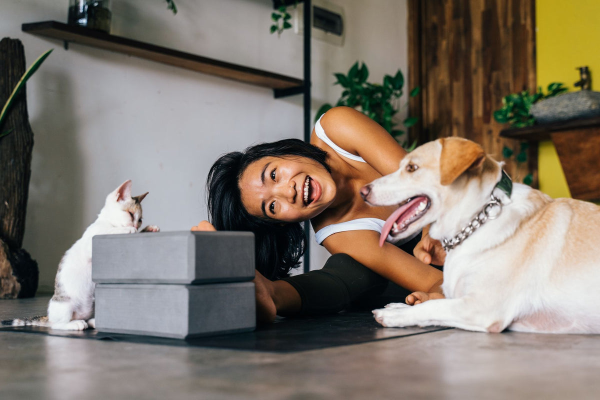 Living Happily With Dogs and Cats Under One Roof