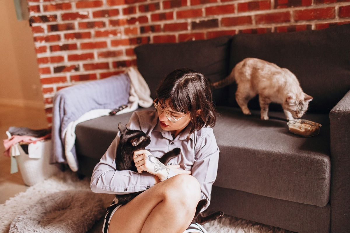 Creating an Enriching Indoor Lifestyle for Cats