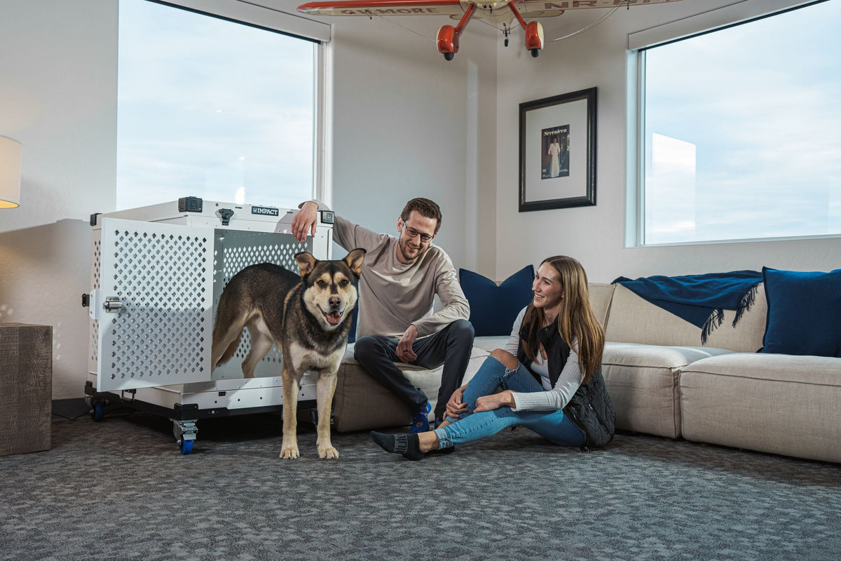 Creating a Safe and Comfortable Crate Space at Home