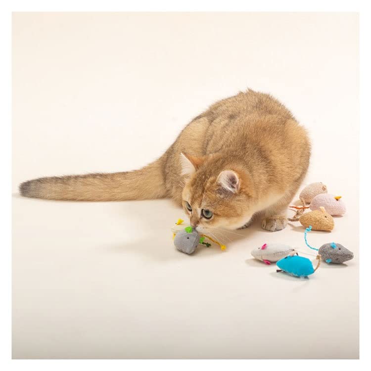 cyhymq 3pcs Mix Simulation Cat Toys Catnip Funny Playing Kitten Interactive Soft Toy Bite Resistant Pet Supplies
