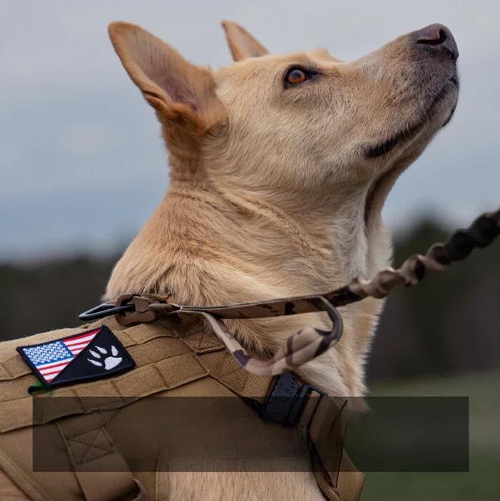 Vauxhaller Pet Belong Tactical No Pull Dog Harness v2 (XL,Green3)