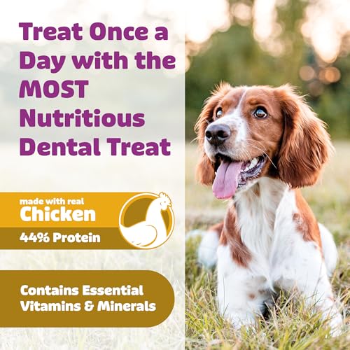 Yummy Combs Dog Dental Treats (36oz, 45ct) & Longevity15 Supplement (3 Pack) Bundle – VOHC Approved Dental Protein Treat – C15:0 Fatty Acid Health Supplement – for Extra Large Dogs
