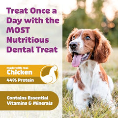 Yummy Combs Dental Treats & Longevity15 Supplement Bundle