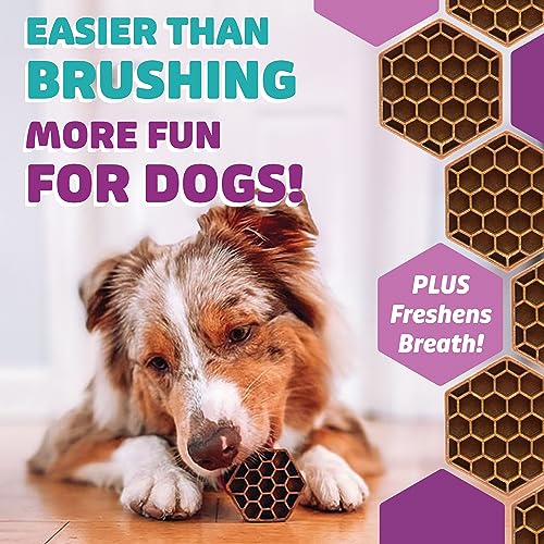 Yummy Combs Dog Dental Treats (36oz, 45ct) & Longevity15 Supplement (3 Pack) Bundle – VOHC Approved Dental Protein Treat – C15:0 Fatty Acid Health Supplement – for Extra Large Dogs