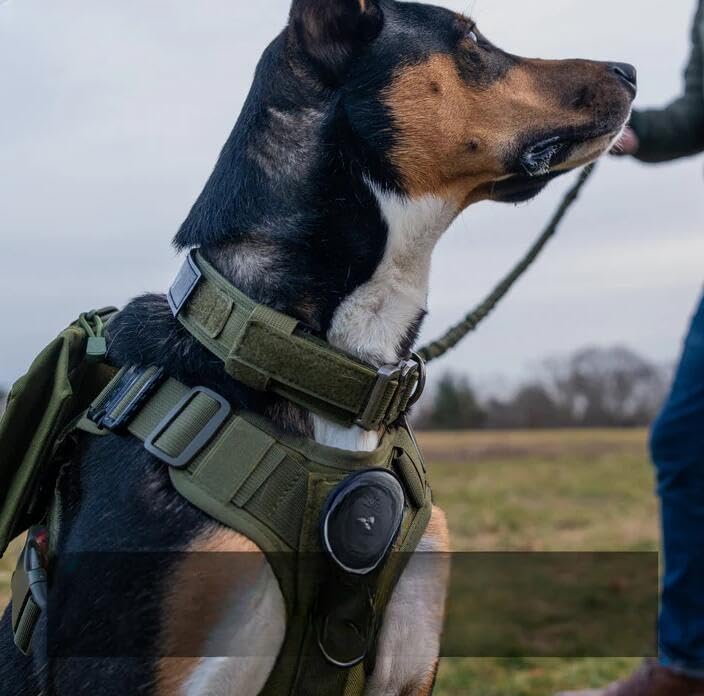 Vauxhaller Pet Belong Tactical No Pull Dog Harness v2 (XL,Green3)