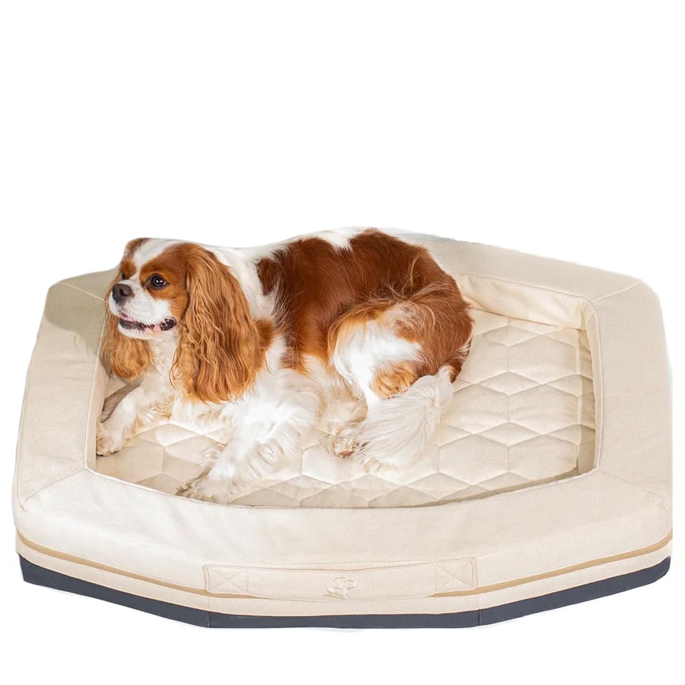 GUNNER Homestead Dog Bed – Orthopedic Memory Foam Pet Bed with Washable Cover, Durable Non-Slip Base, Bolstered Sides for Dogs, Comfortable Indoor Lounger