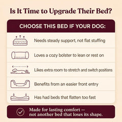 Orthopedic Memory Foam Pet Bed with Washable Waterproof Cover