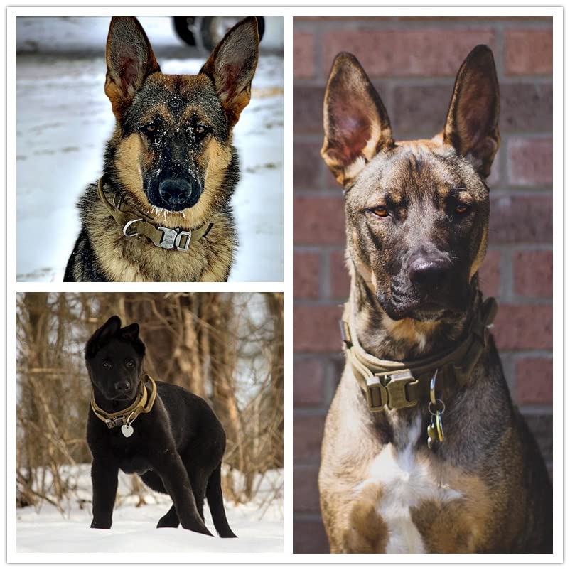 Heavy Duty Dog Collar with Handle Durable Adjustable Pet Collar for Medium Large Dogs German Training Shepherd (Color : E Size : XL Code)