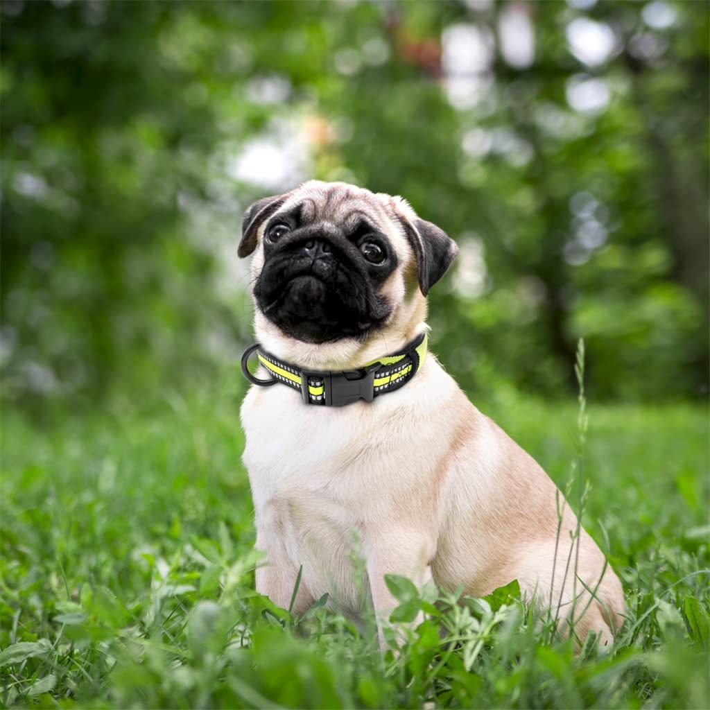 CVXSDFI Nylon Dog Collar Reflective Soft Padded Collars Wide Pet Adjustable for Pitbull Bulldog Pug Small Medium Large