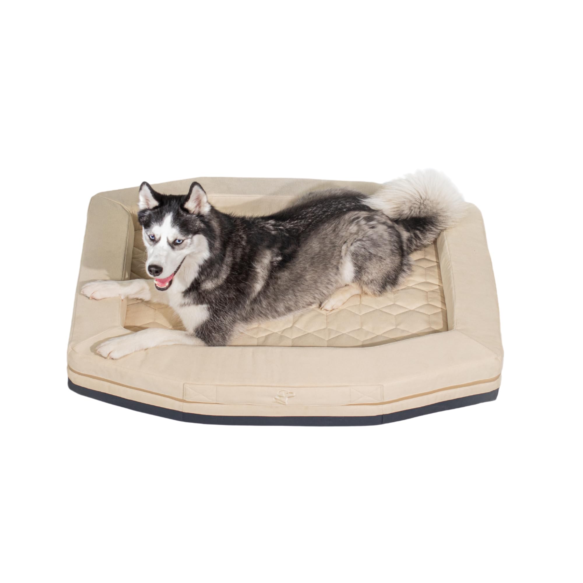 GUNNER Orthopedic Memory Foam Dog Bed with Washable Cover