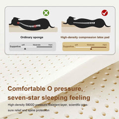 PJDDP L-Shaped Bolster Pet Bed with Removable Washable Cover