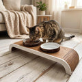 Elevated Cat Food and Water Bowl Set, Raised Pet Feeding Station with 2 Coconut Shell Bowls, Non-Slip Wooden Stand for Cats Small Dogs, Modern Home Decor, 15x8x4 Inch