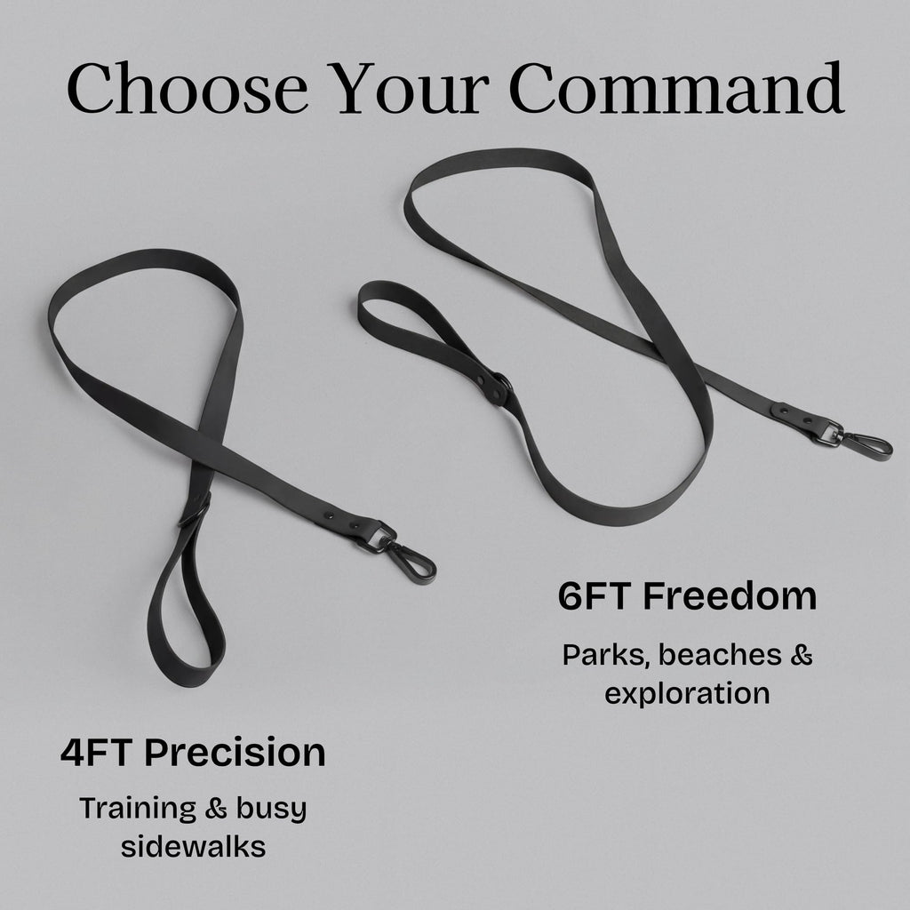 Fei & Eve PVC Dog Leash,Easy-Clean