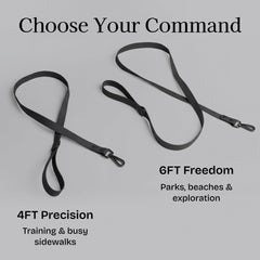 Fei & Eve Easy-Clean PVC Dog Leash for Daily Walks