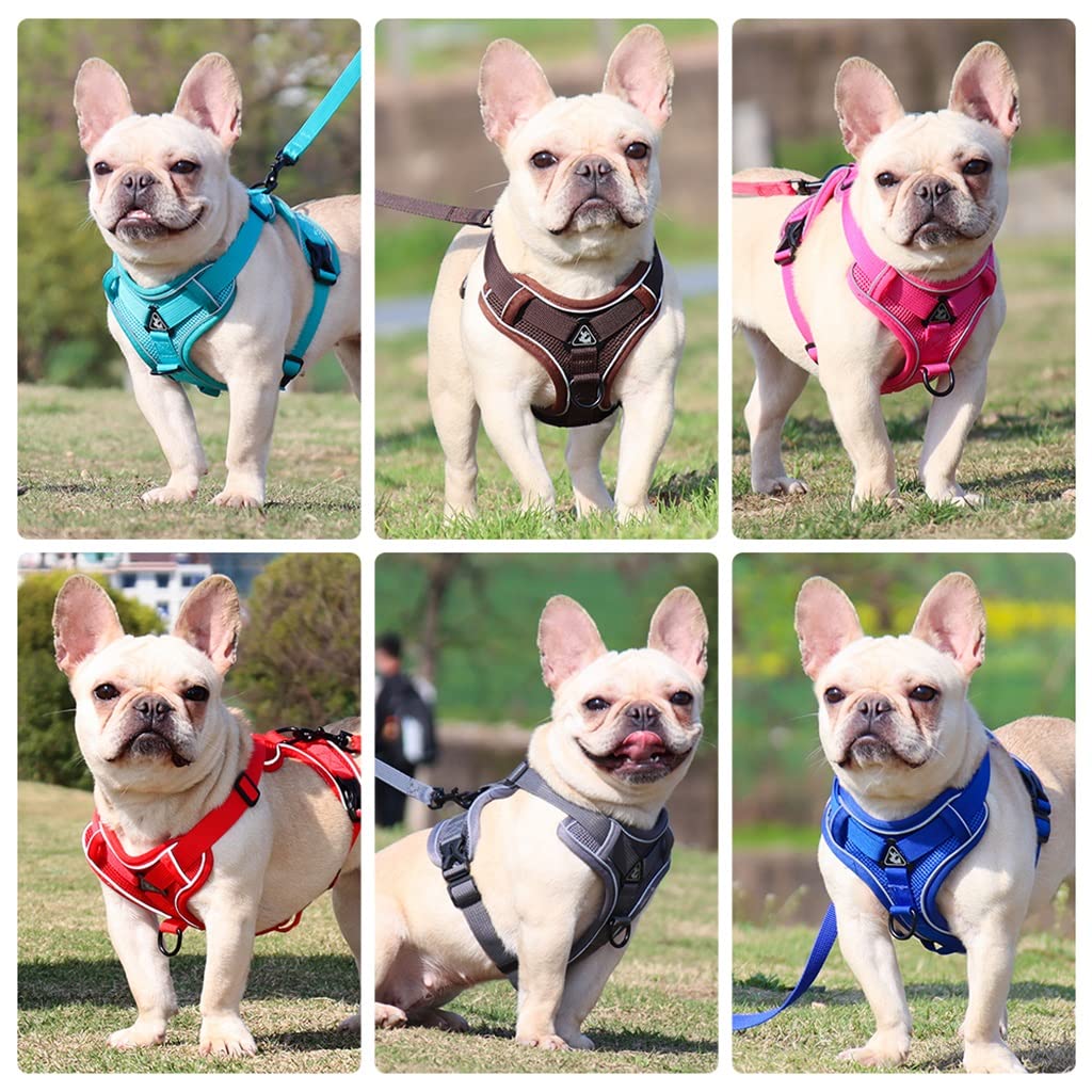 Pet Reflective Nylon Dog Harness Without Tension Adjustable Dog Vest for Safe Traction Walking and Running (E L)