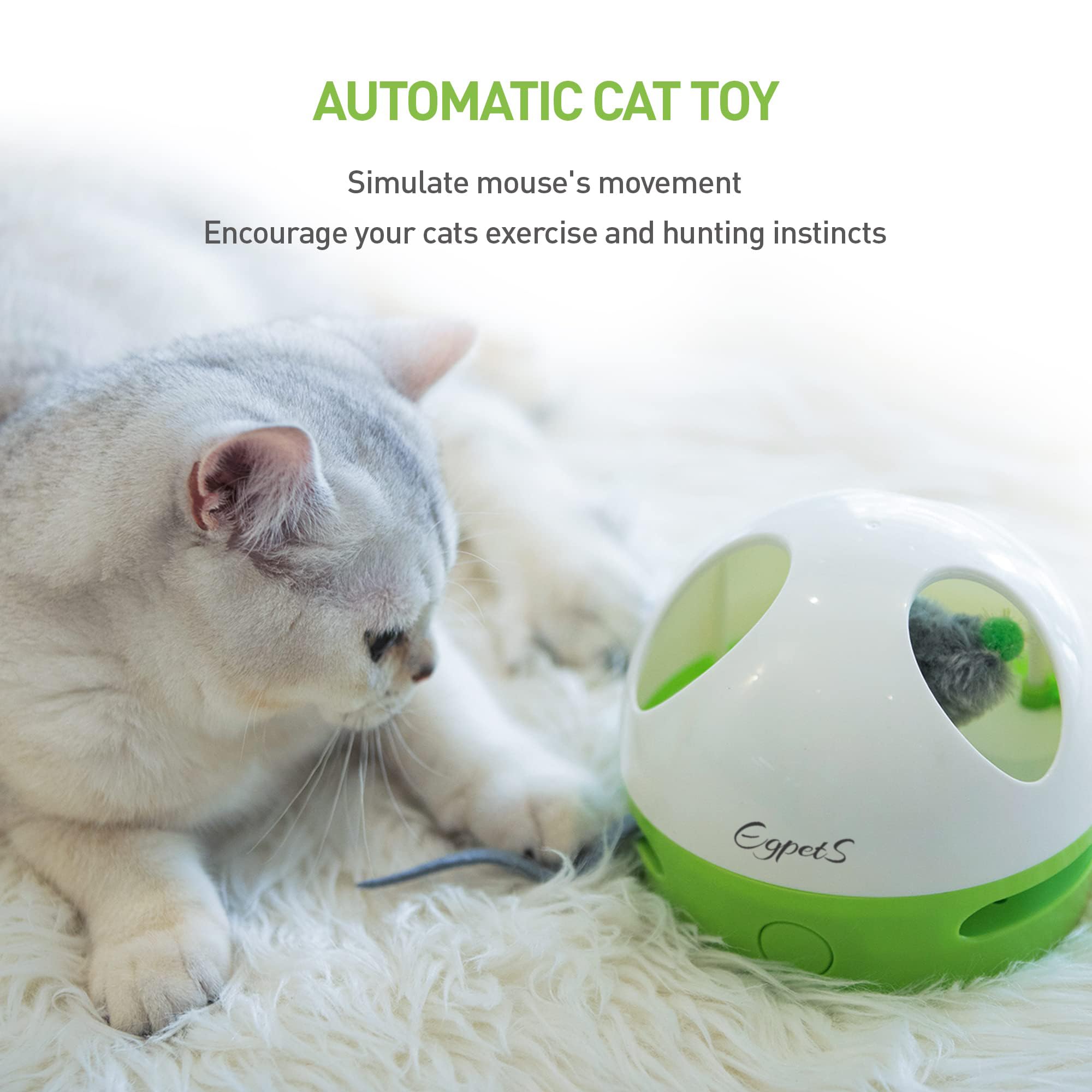 EGPETS Cat Toy, Hide Mouse Cat Toy