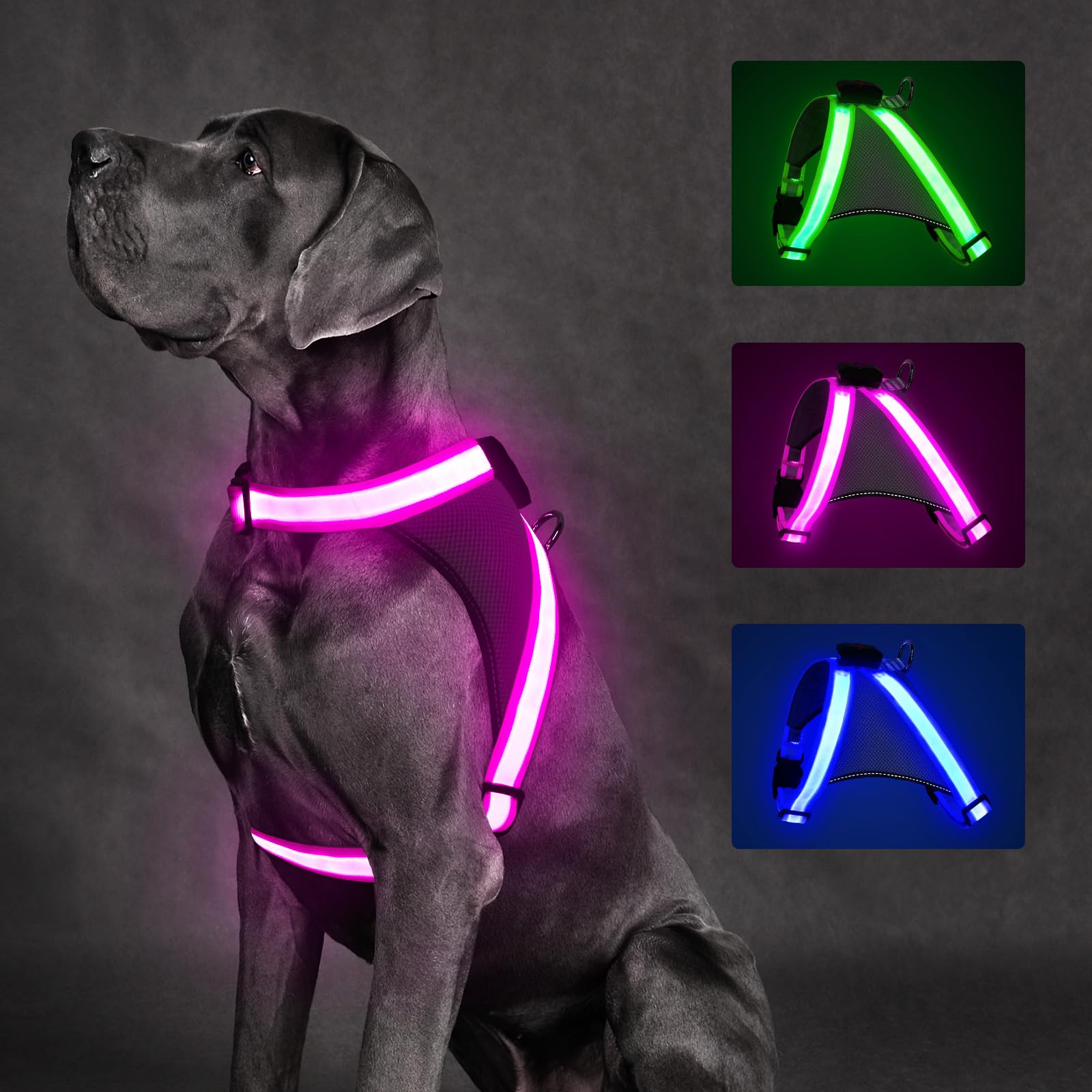 ChalkLit LED Light-Up Dog Harness for Nighttime Walking