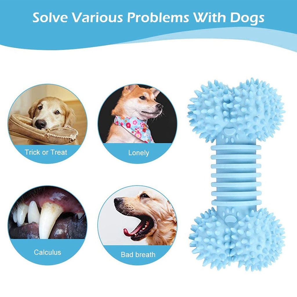 Billy's Choice "I Love Animals" Squeaky Plush Dog Toy Interactive Stuffed Pet Toy Gift Set