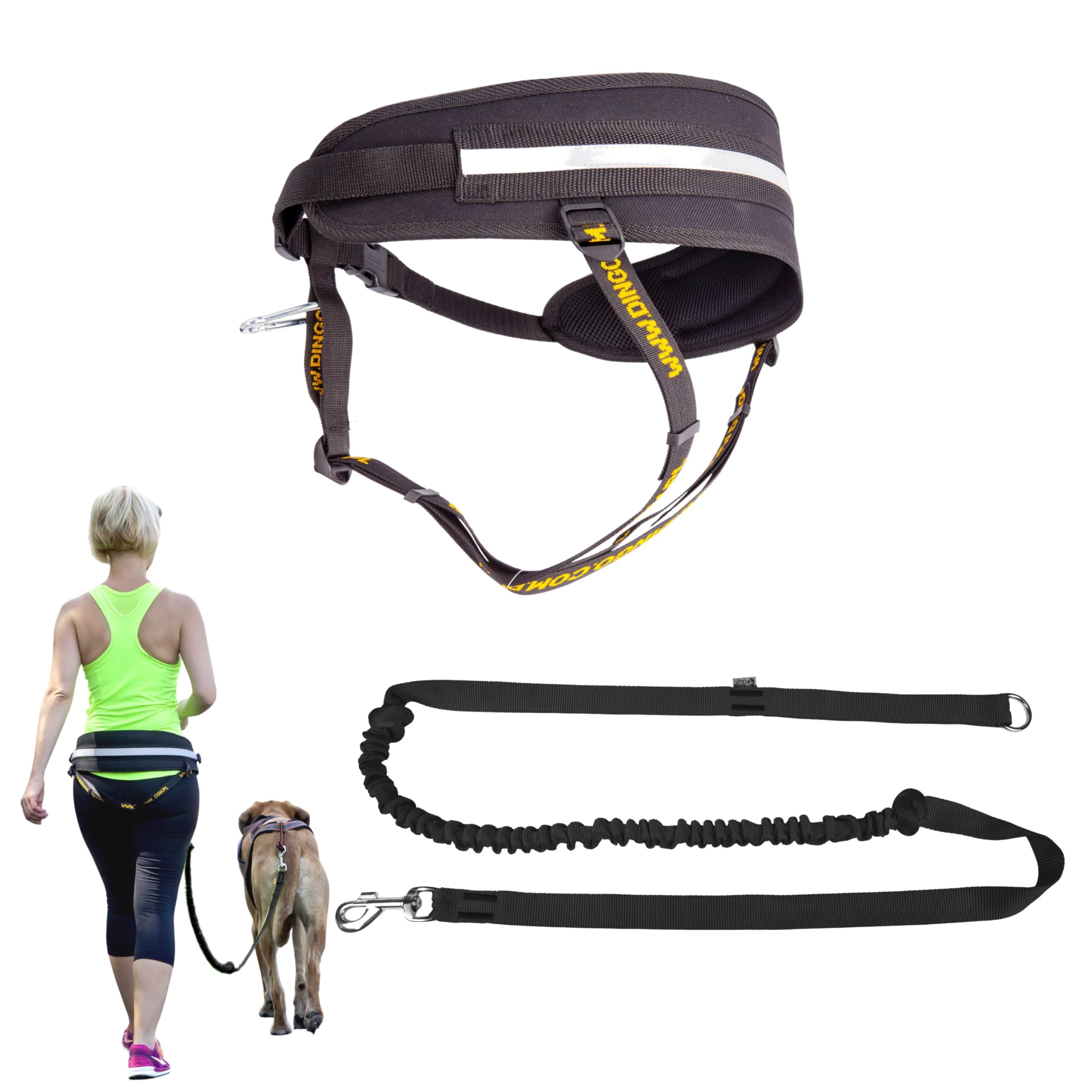 Dingo Hands Free Leash and Belt for Walking and Running with Dog, Bungee Training Leash