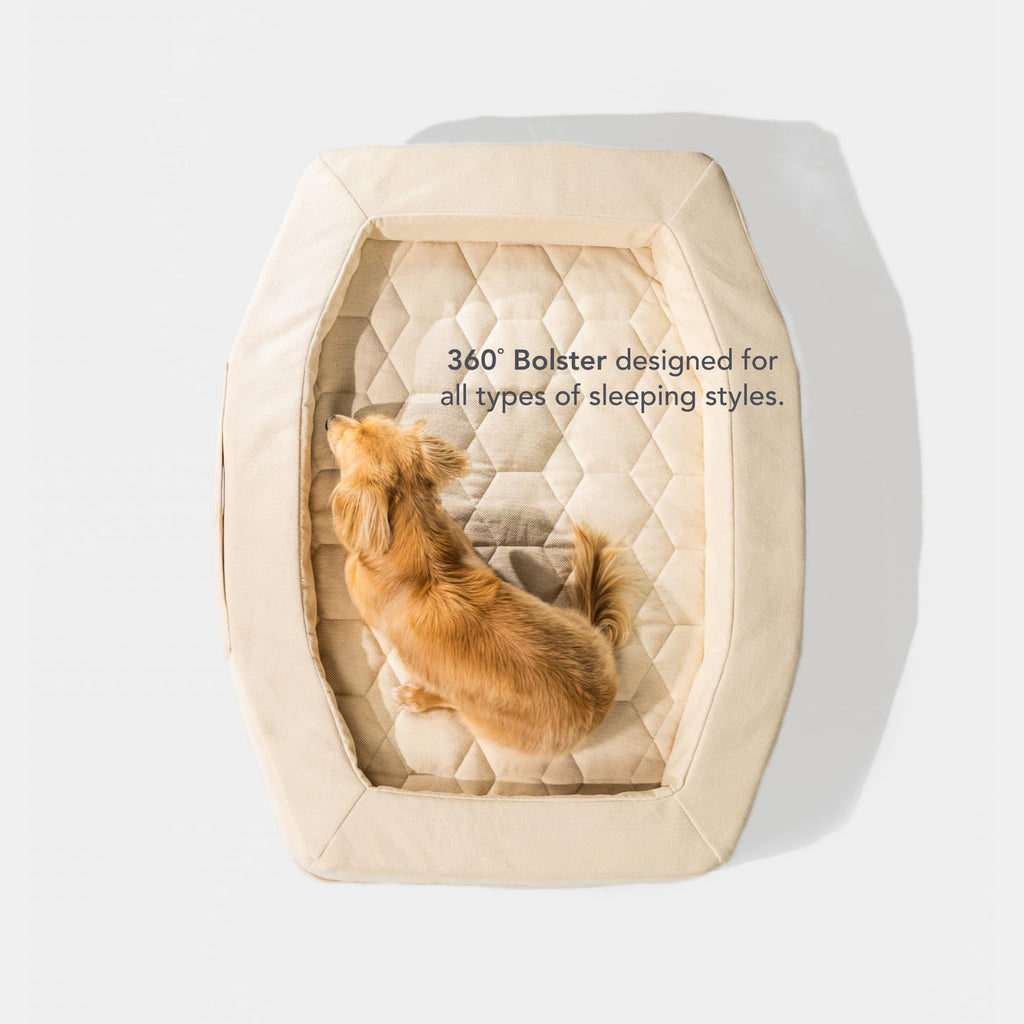 GUNNER Homestead Dog Bed – Orthopedic Memory Foam Pet Bed with Washable Cover, Durable Non-Slip Base, Bolstered Sides for Dogs, Comfortable Indoor Lounger