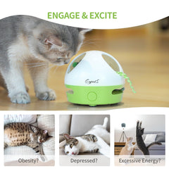 EGPETS Hide-and-Seek Mouse Toy for Indoor Cats