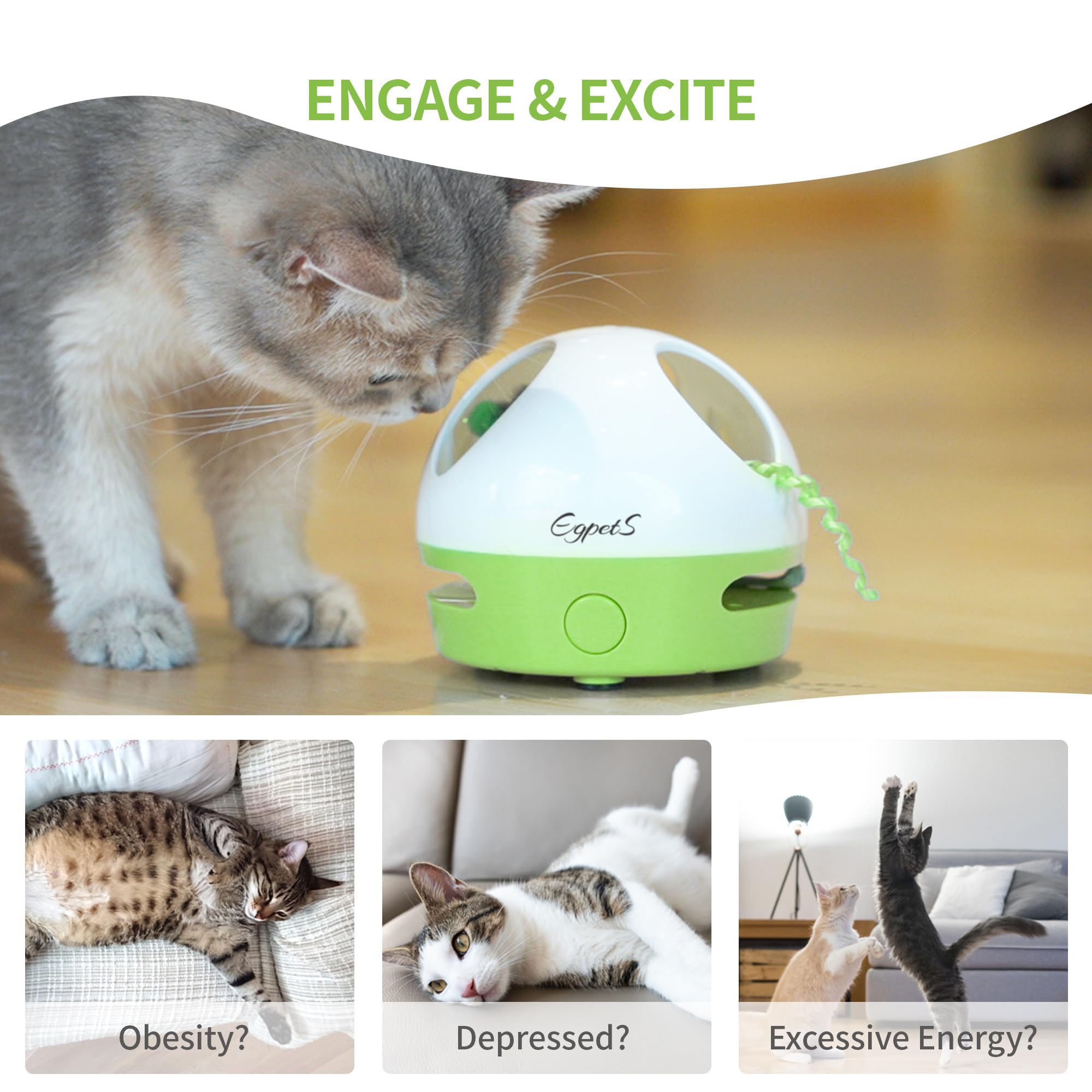 EGPETS Cat Toy, Hide Mouse Cat Toy