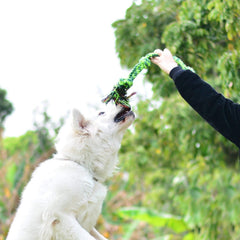 Heavy-Duty Chew Toy for Aggressive Large Breed Dogs