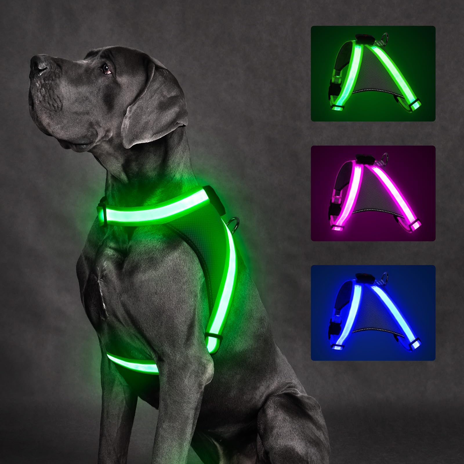 ChalkLit LED Light-Up Dog Harness for Nighttime Walking