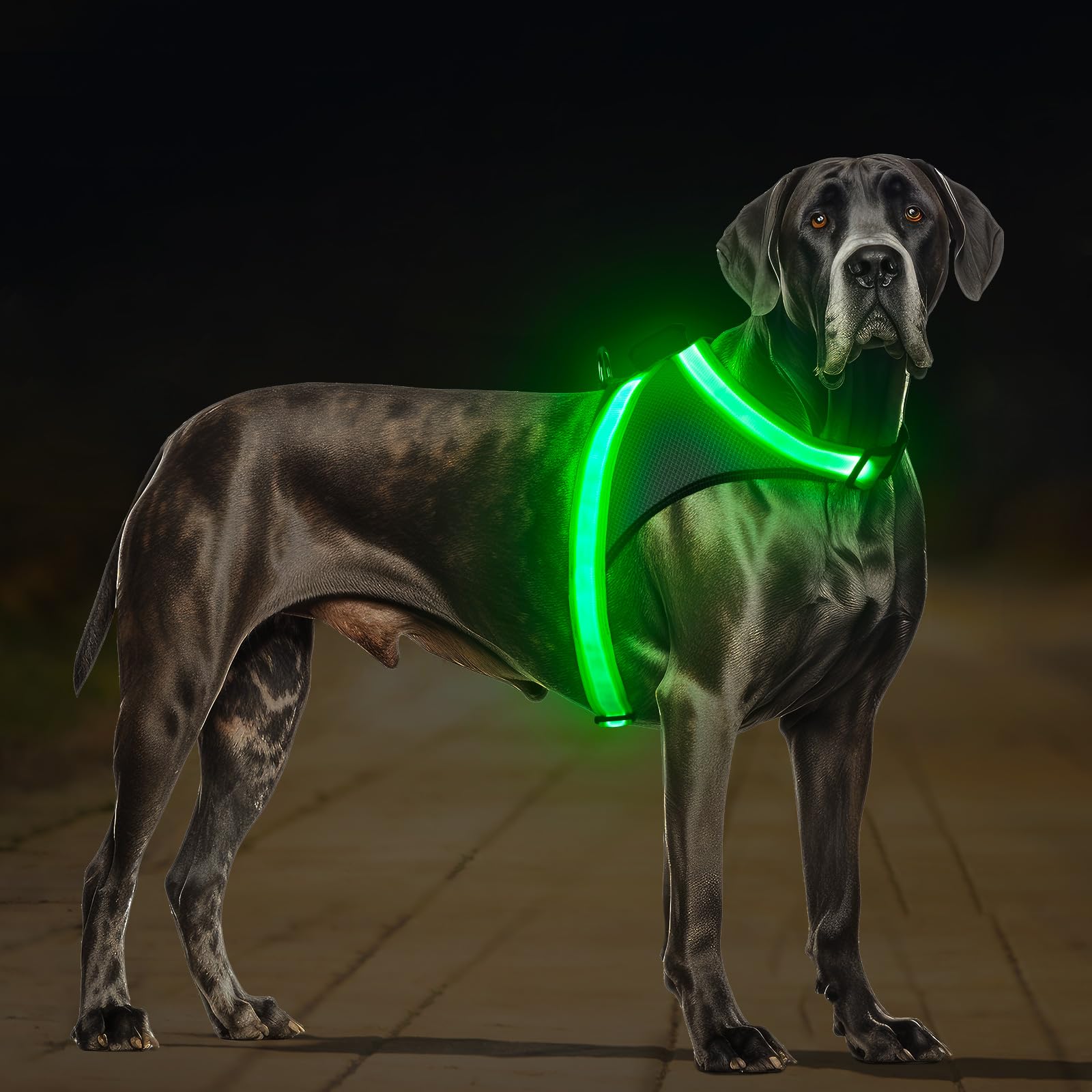 ChalkLit LED Light-Up Dog Harness for Nighttime Walking