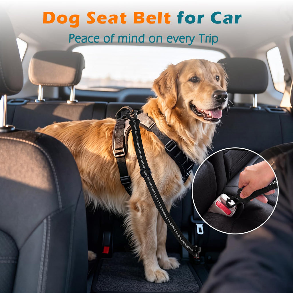 PetBonus Dog Seat Belt for Car, Durable Safe Dog Car Harness for Vehicle