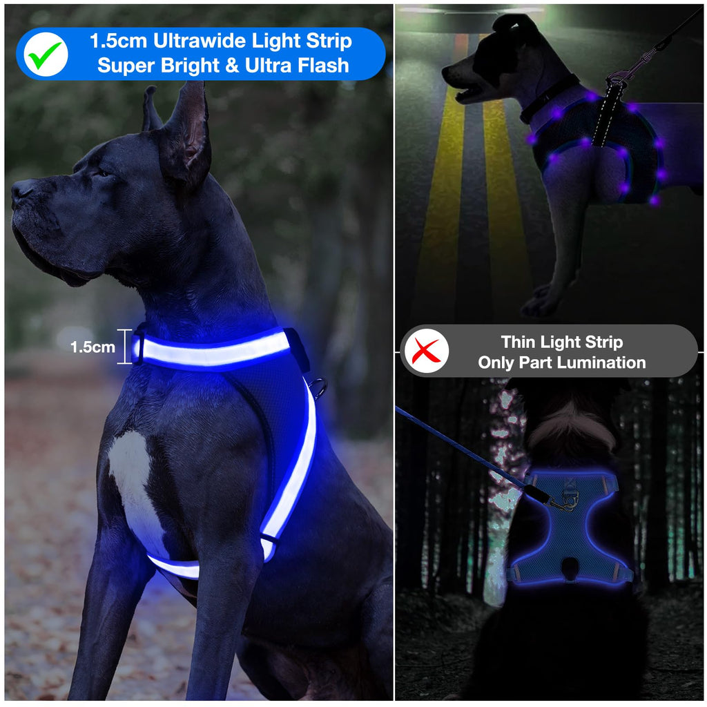 ChalkLit Light Up Dog Harness