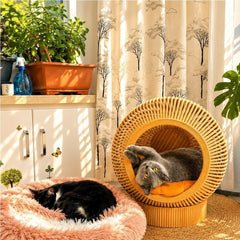 Handwoven Rattan Cat Cave Bed for Indoor Cats