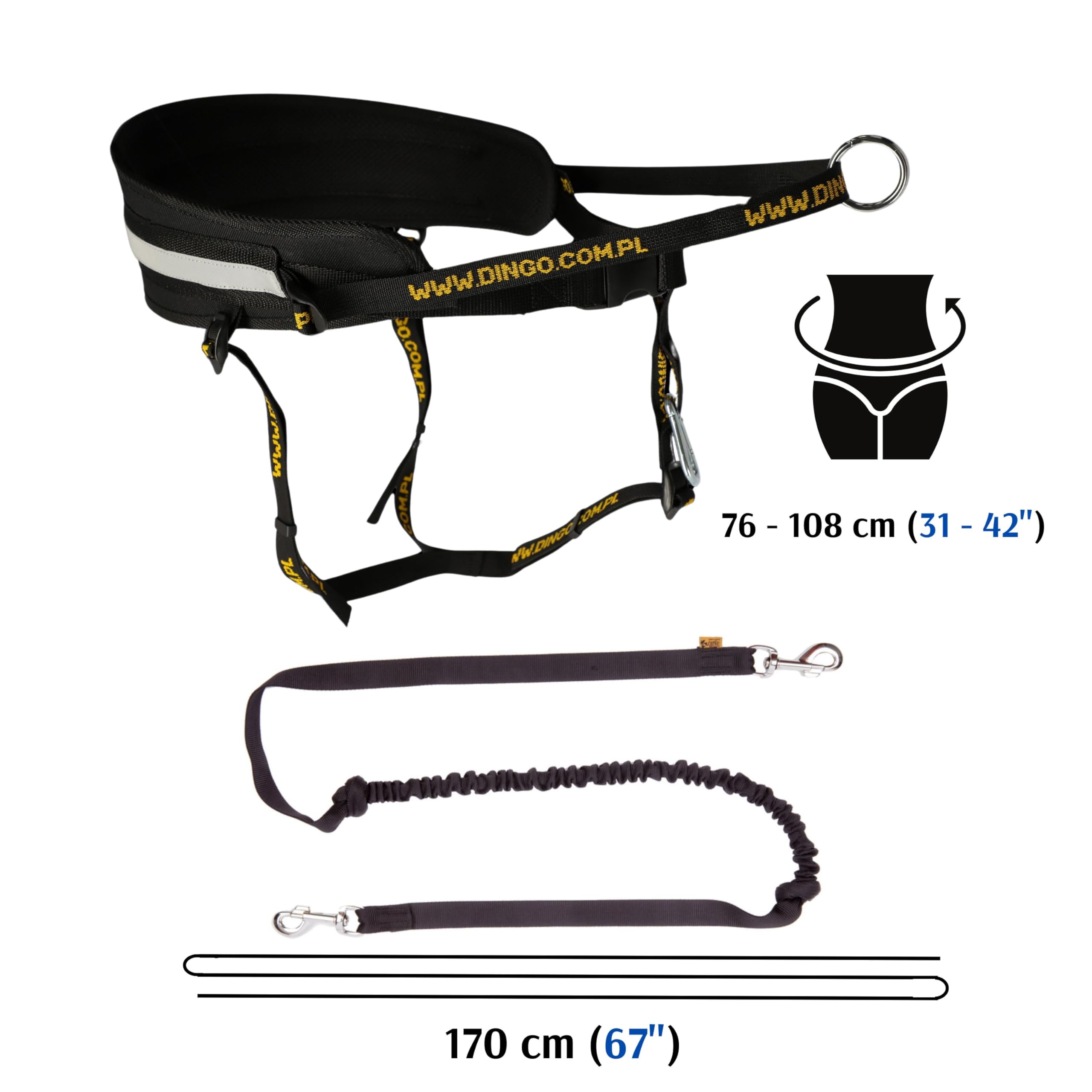 Dingo Hands Free Leash and Belt for Walking and Running with Dog, Bungee Training Leash