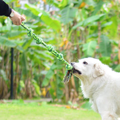 Heavy-Duty Chew Toy for Aggressive Large Breed Dogs