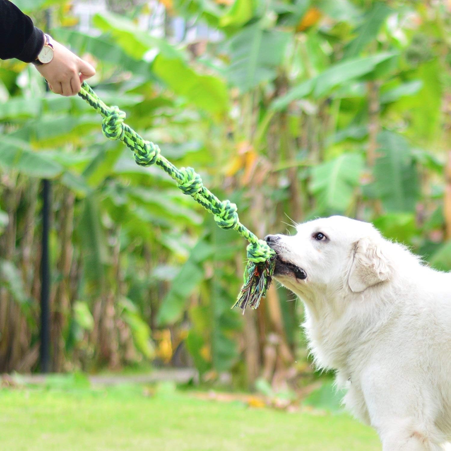Large Dog Chew Toys, Tough Dog Toys for Aggressive Chewers Large Breed