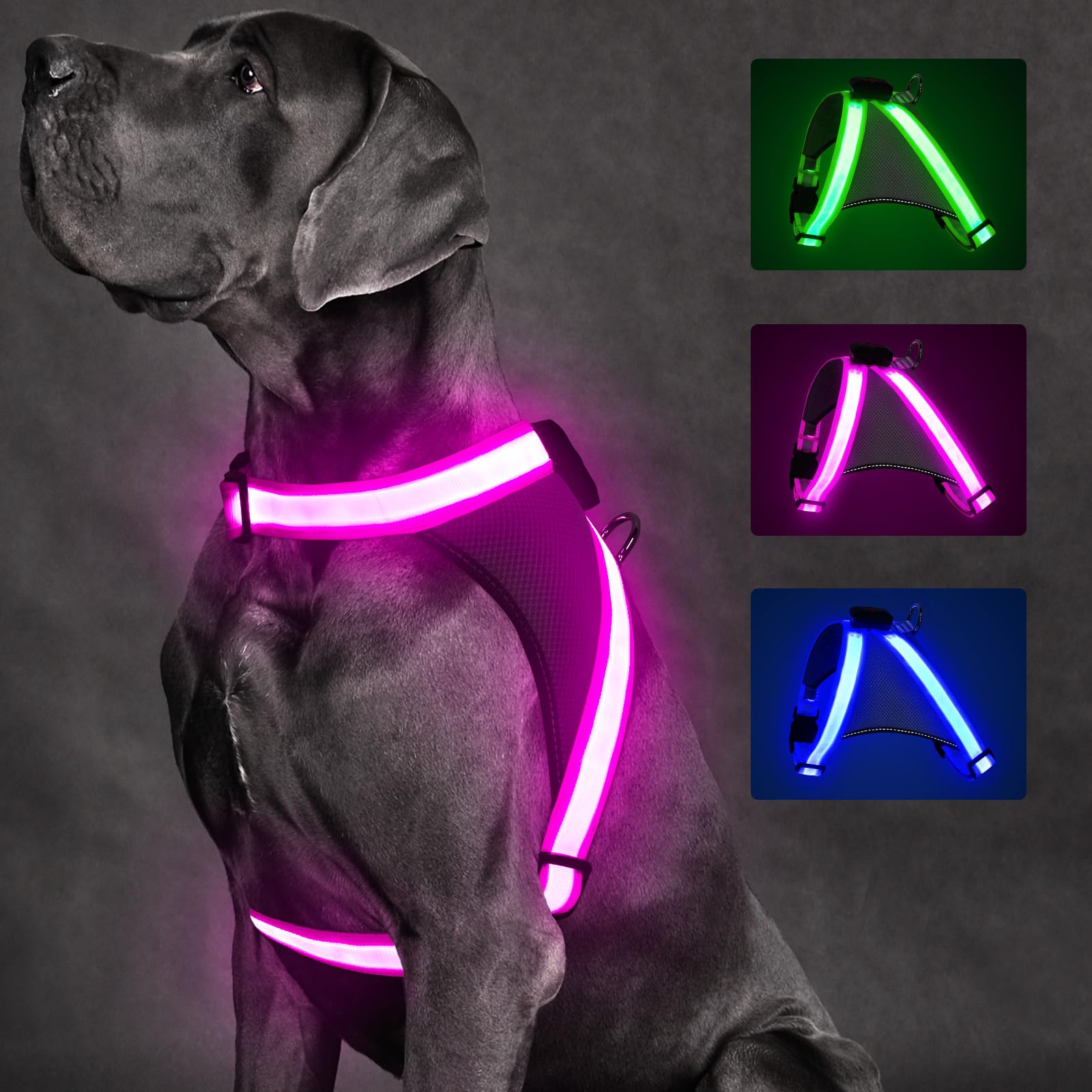 ChalkLit LED Light-Up Dog Harness for Nighttime Walking