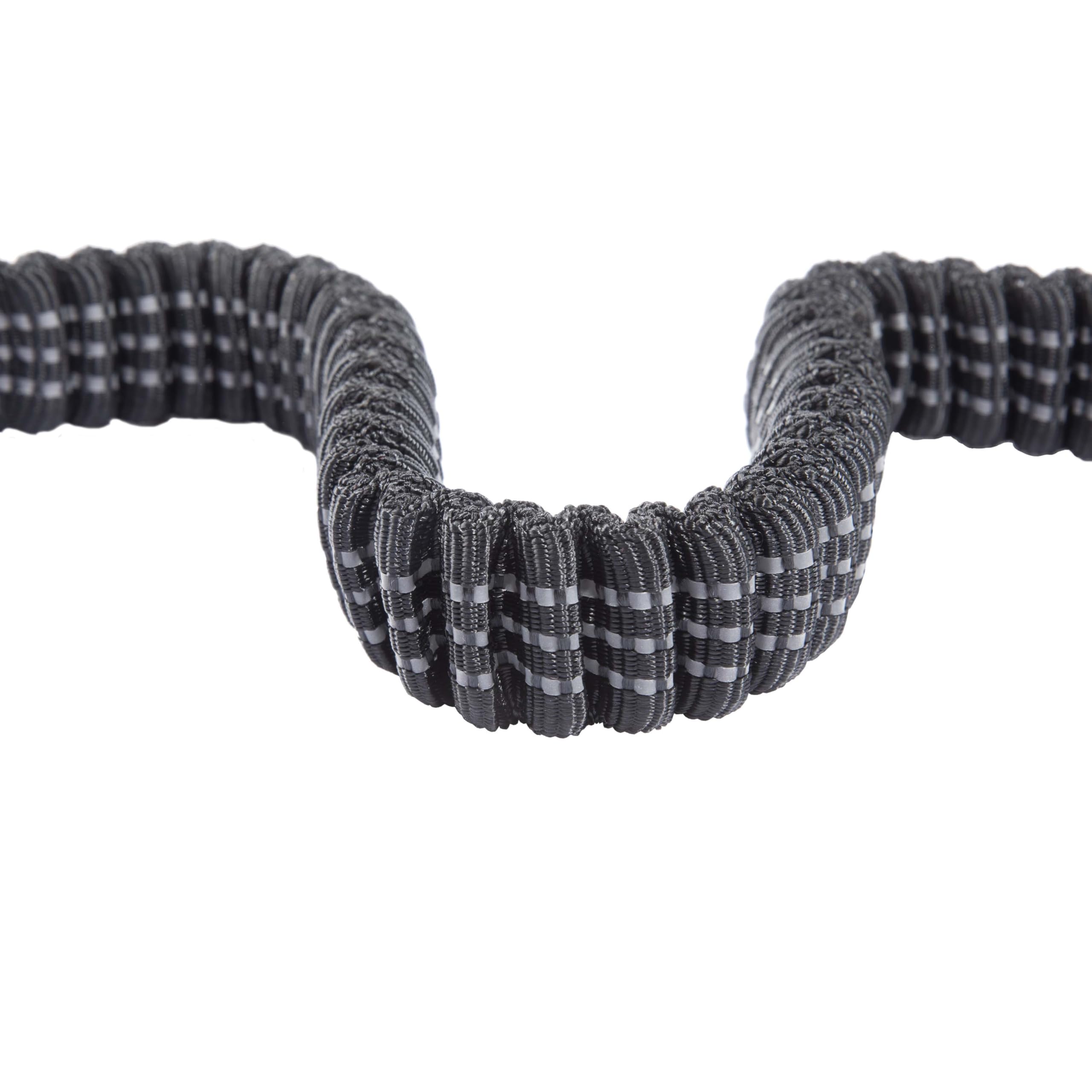 Carhartt Pet Durable Nylon Webbing Shock Absorbing Leash for Dogs, Reflective Stitching for Visibility