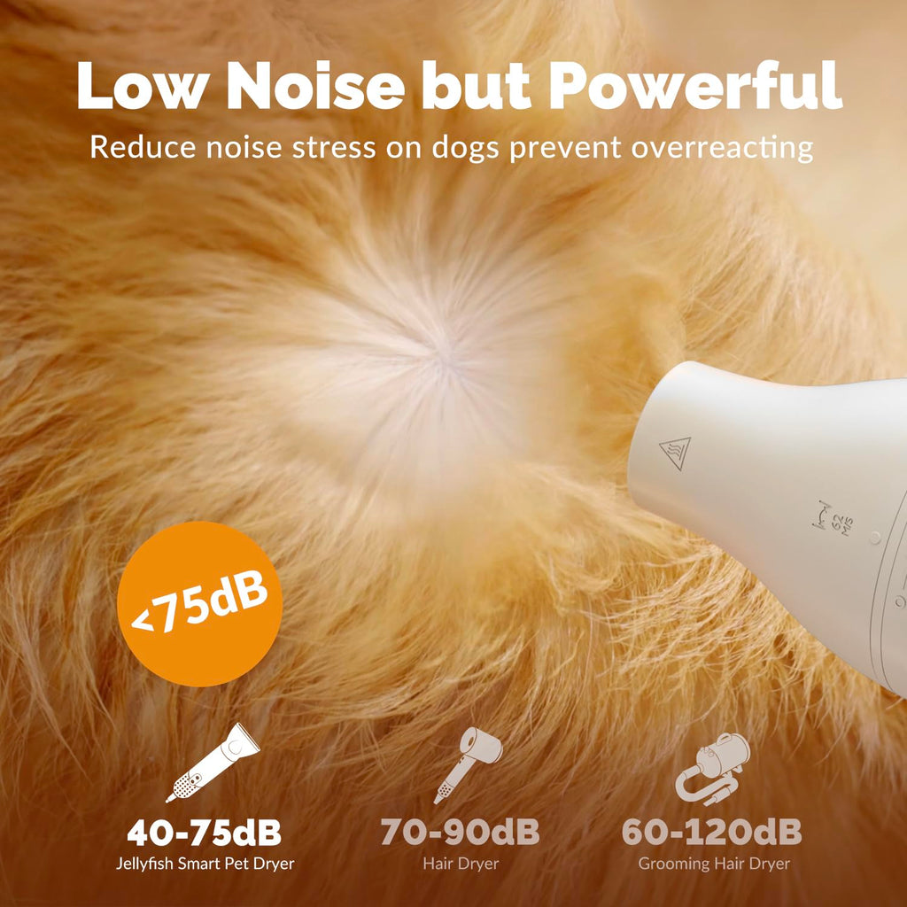 2 in 1 Grooming Kit for Pet-Dog Hair Dryer & Professional Grooming Brush for Frizzy Dog Hair Styling-1.21lb Lightweight Handhold Portable High Velocity Force Blower+4 Replacement Nozzle at Home Travel