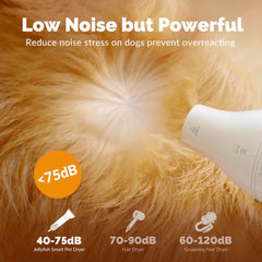 2-in-1 Pet Hair Dryer & Grooming Brush with 4 Nozzles