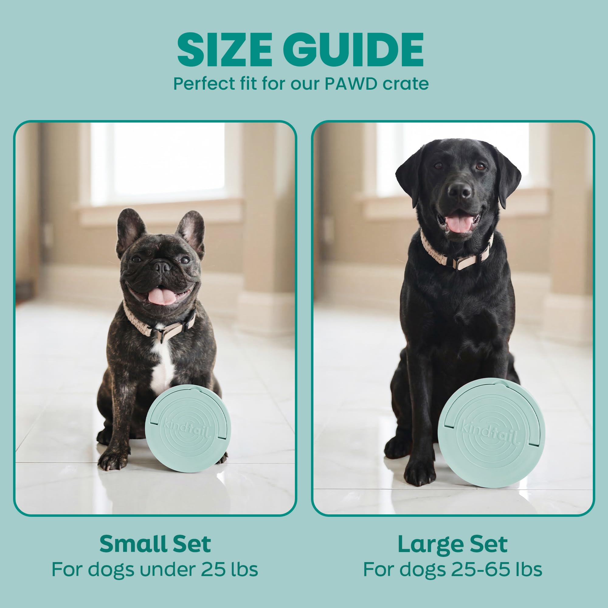 KindTail Dog Travel Bowls - Set of 2 Portable Pet Food & Water Dishes with Lid & Handle - Each Nesting Container Includes a Non-Slip Silicone Base - Microwave & Dishwasher Safe - BPA & Toxin-Free