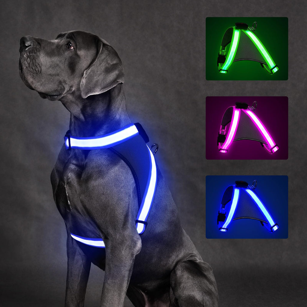 ChalkLit Light Up Dog Harness