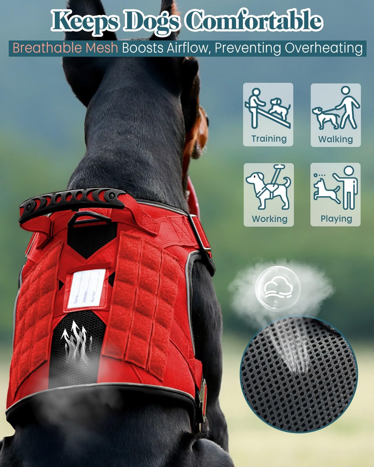 Green Dog Treat Pouch and Service Dog in Training Vest Kit, One-Hand Magnetic Treat Bag with Silicone Liner for Medium Dogs,Reflective No Pull Harness with Handle, 6 Patches and Metal Buckles