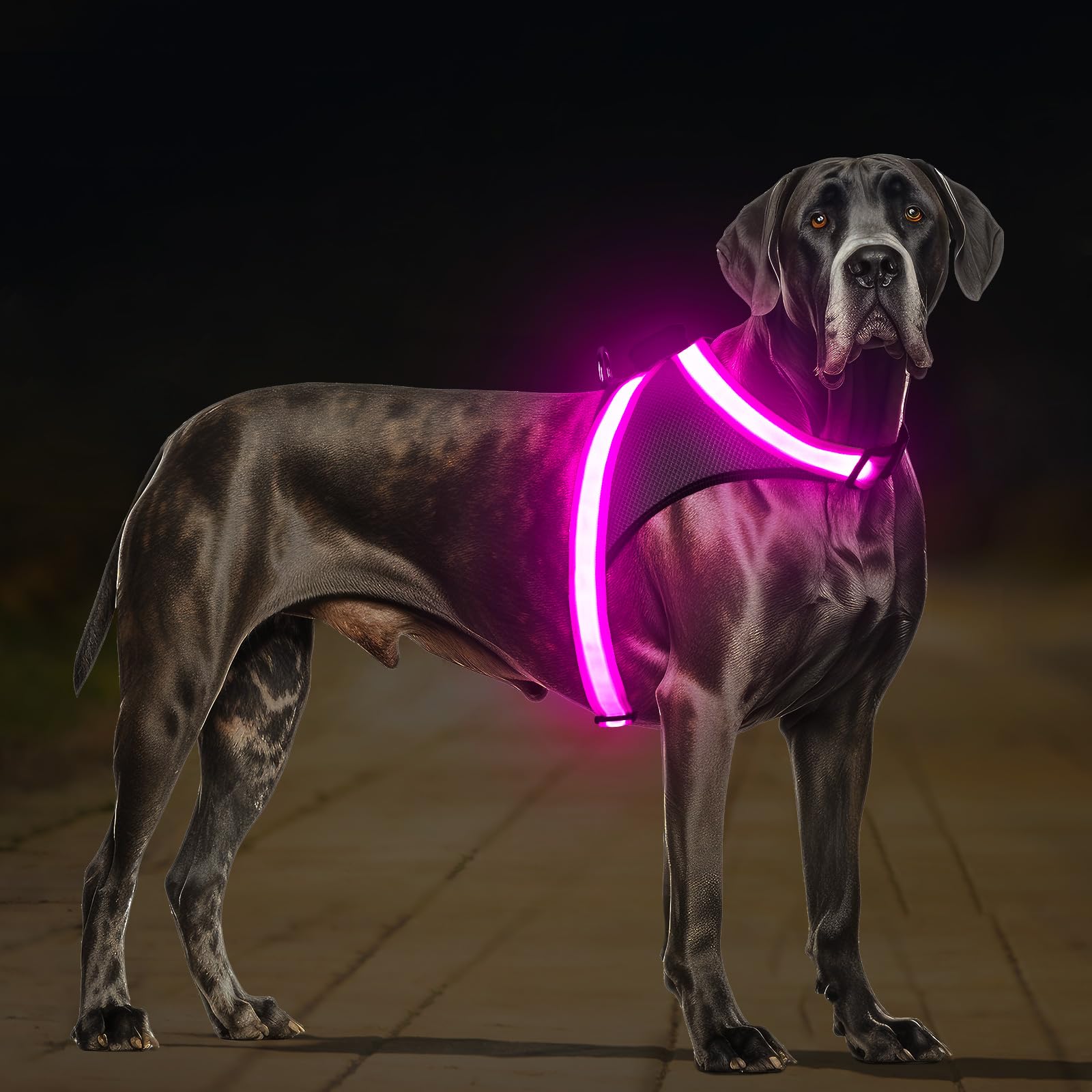 ChalkLit LED Light-Up Dog Harness for Nighttime Walking