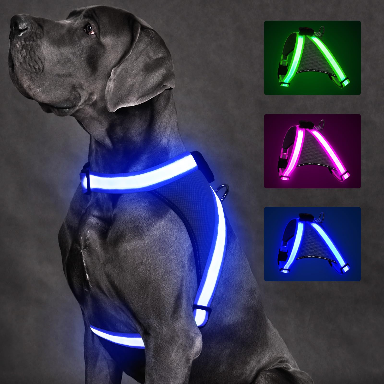 ChalkLit LED Light-Up Dog Harness for Nighttime Walking