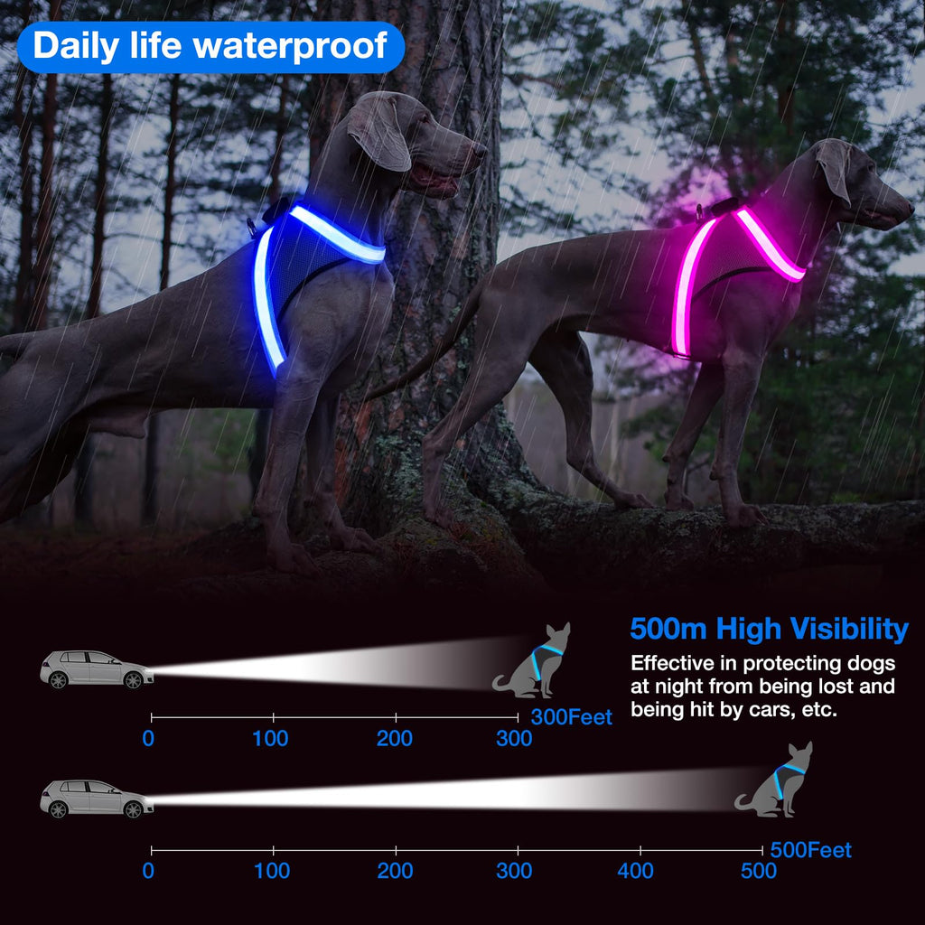 ChalkLit Light Up Dog Harness