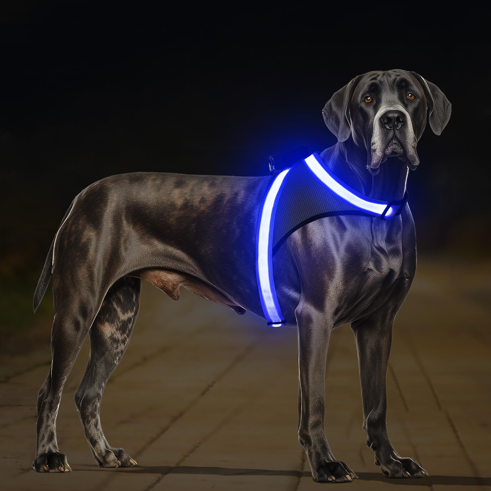 ChalkLit LED Light-Up Dog Harness for Nighttime Walking