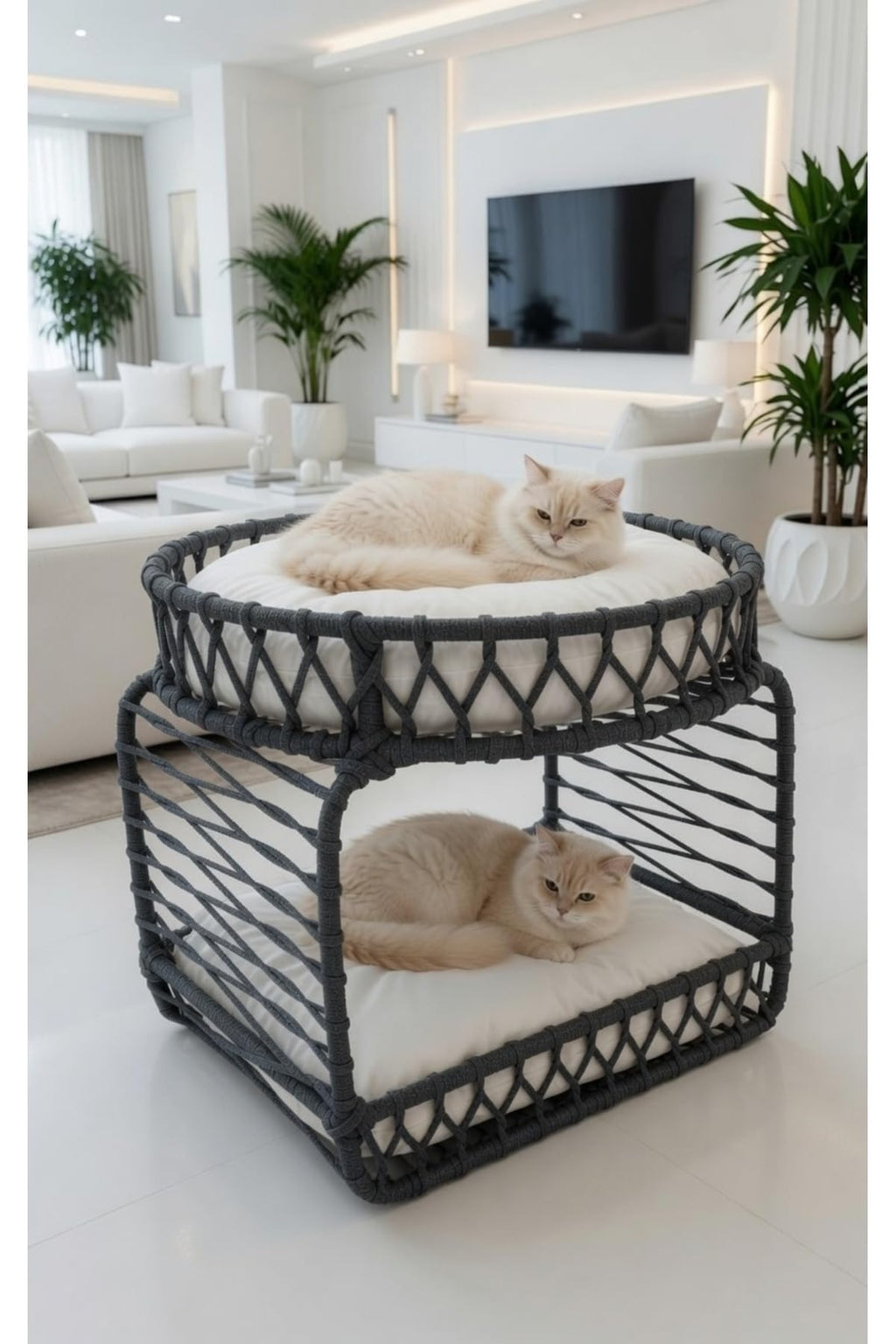 Cat Dog Bed Bunk Design XL Size Long 15.0 x 20.5 inches Black Multi-Purpose Sleep and Play Area Durable Easy Easy to Wipe - Charcoal, XL