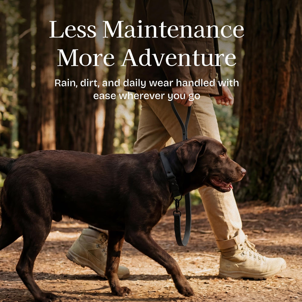 Fei & Eve PVC Dog Leash,Easy-Clean