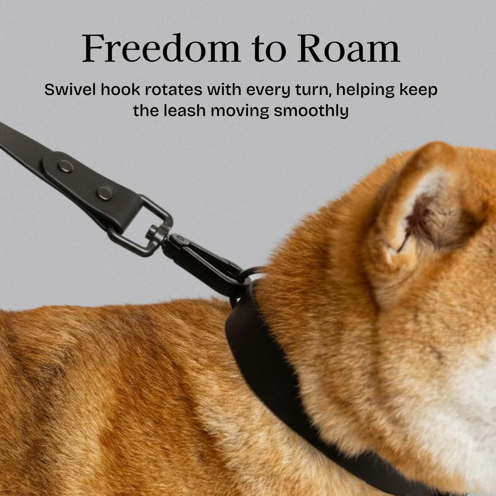 Fei & Eve PVC Dog Leash,Easy-Clean